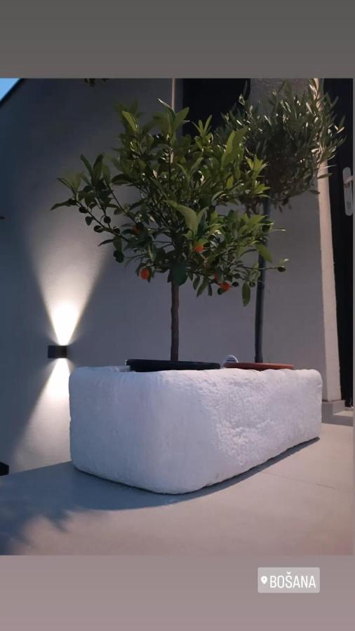 Villa Panama Bosana Dış mekan fotoğraf